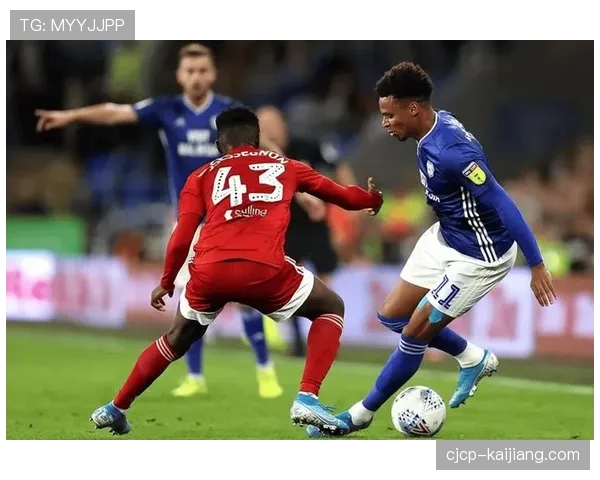 富勒姆客场取胜桑德兰 伊沃比希门尼斯联手贡献三球